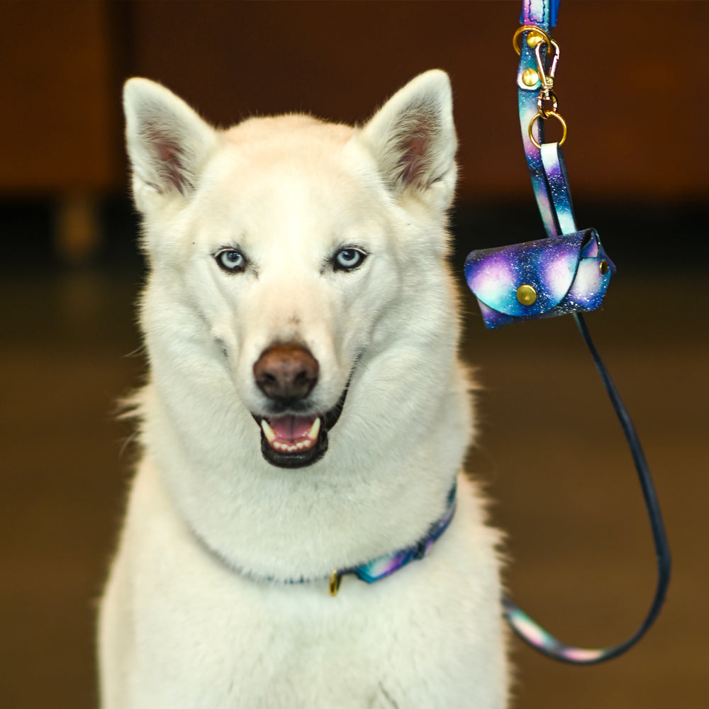 Galaxy Leather Collar, Leash, and Accessory Set
