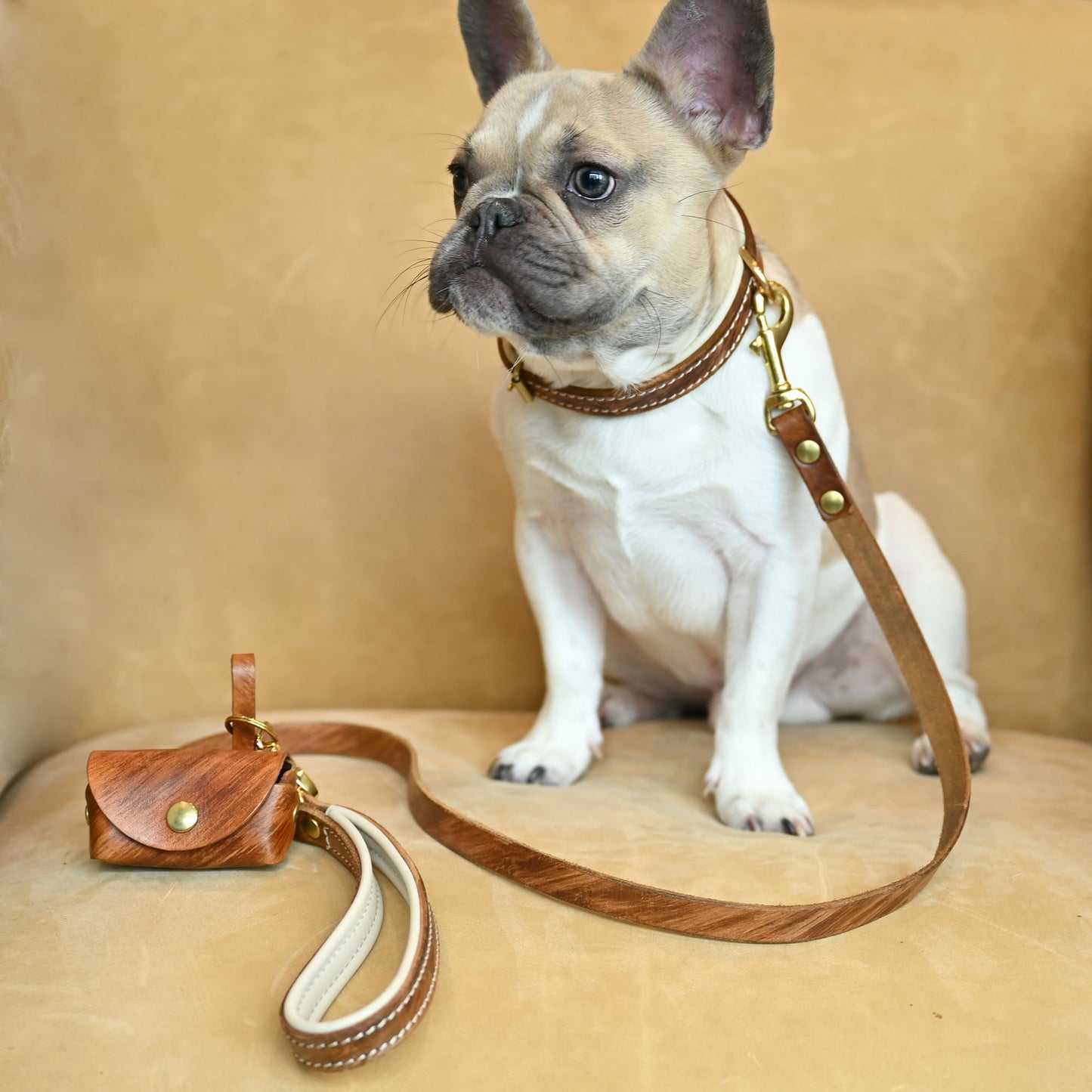 Antique Chic Double Padded Leather Dog Collar