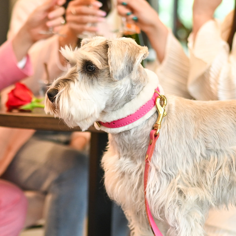 Pretty in Pink Fur Leather Dog Collar