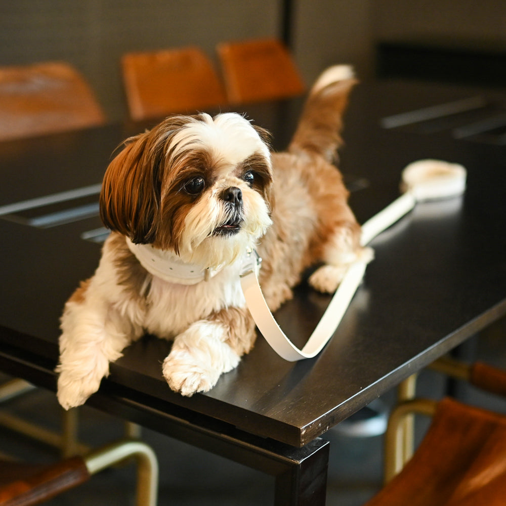 Arctic Frost Fur Leather Dog Leash