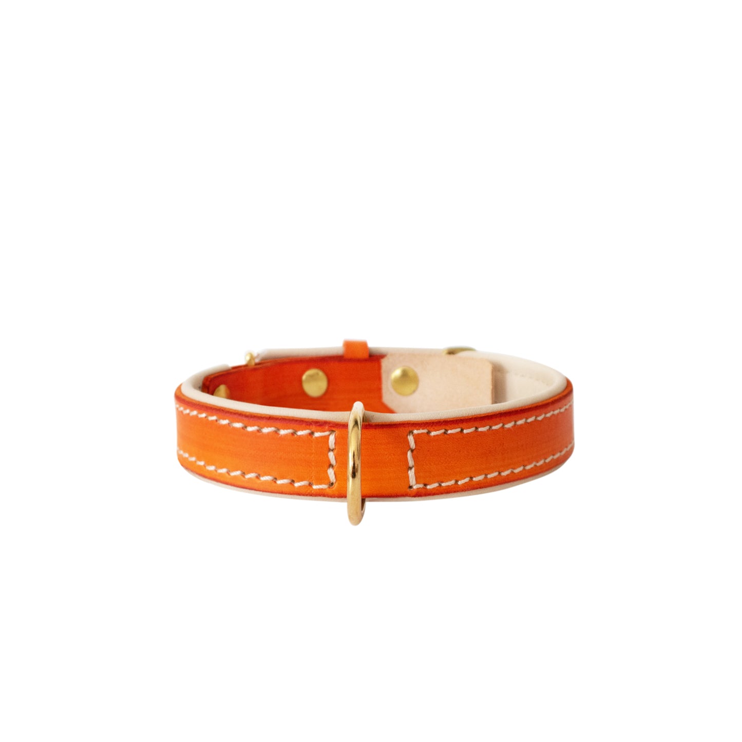 Saffron Orange Double Padded Leather Dog Collar