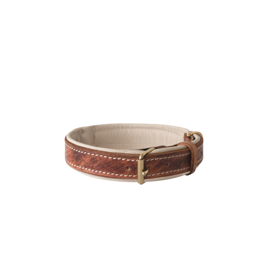 Antique Chic Double Padded Leather Dog Collar