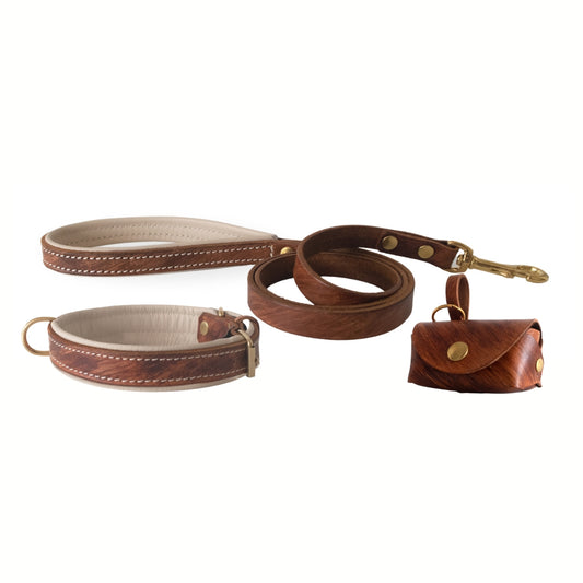 Antique Chic Leather Collar, Leash, and Accessory Set