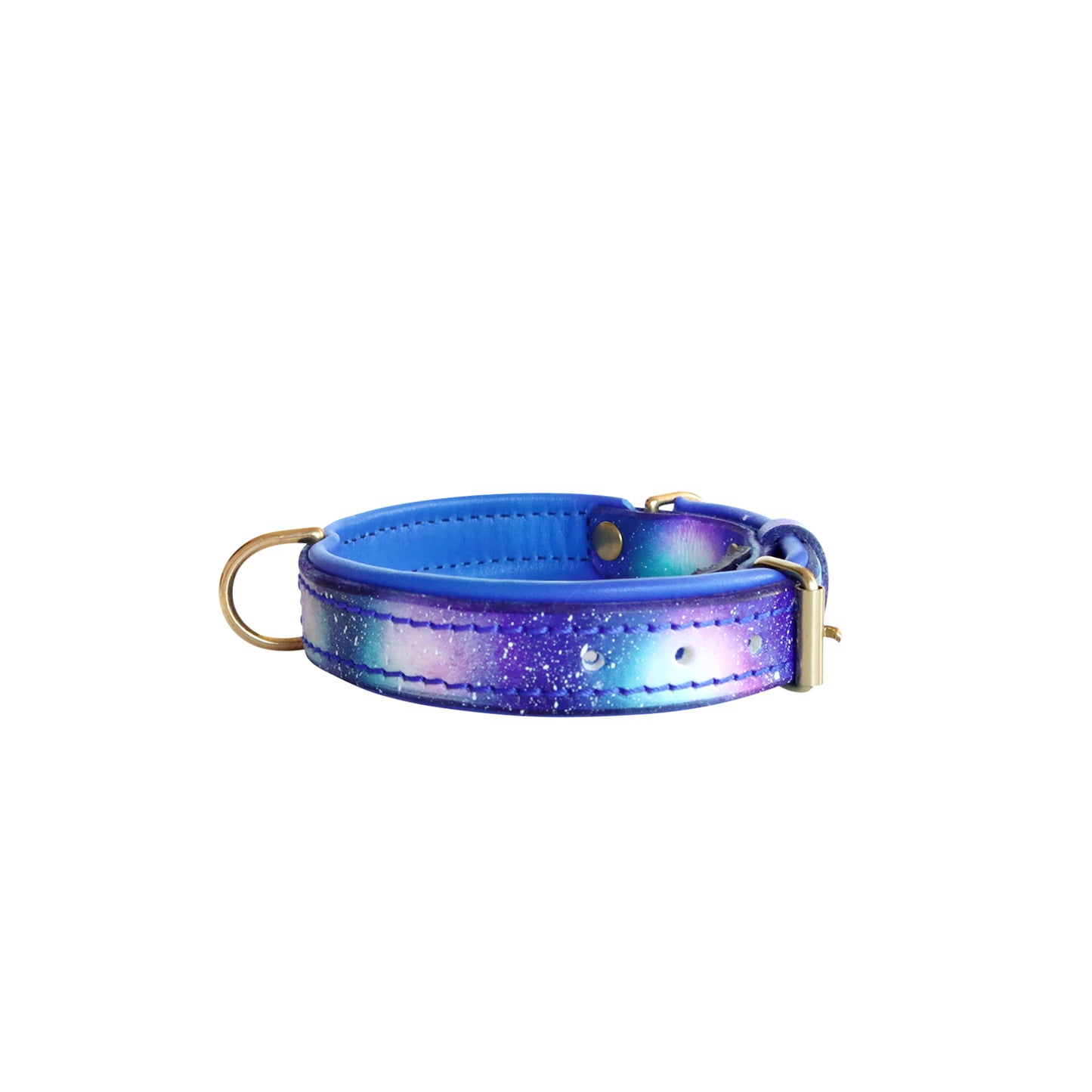 Galaxy Leather Collar, Leash, and Accessory Set