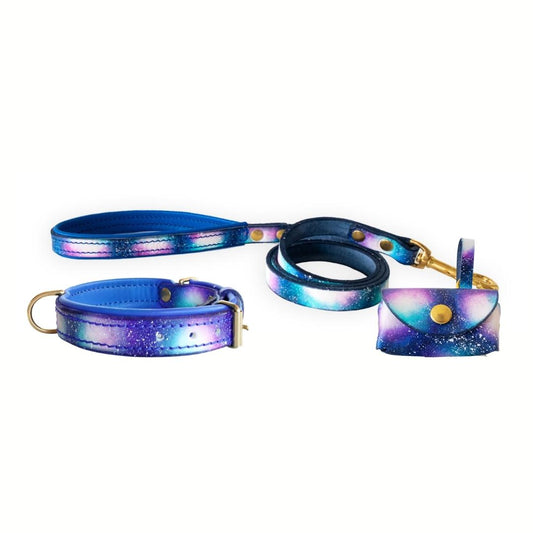 Galaxy Leather Collar, Leash, and Accessory Set