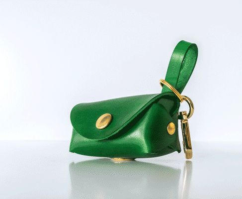 Fortune Green Posh Pooch Pouch