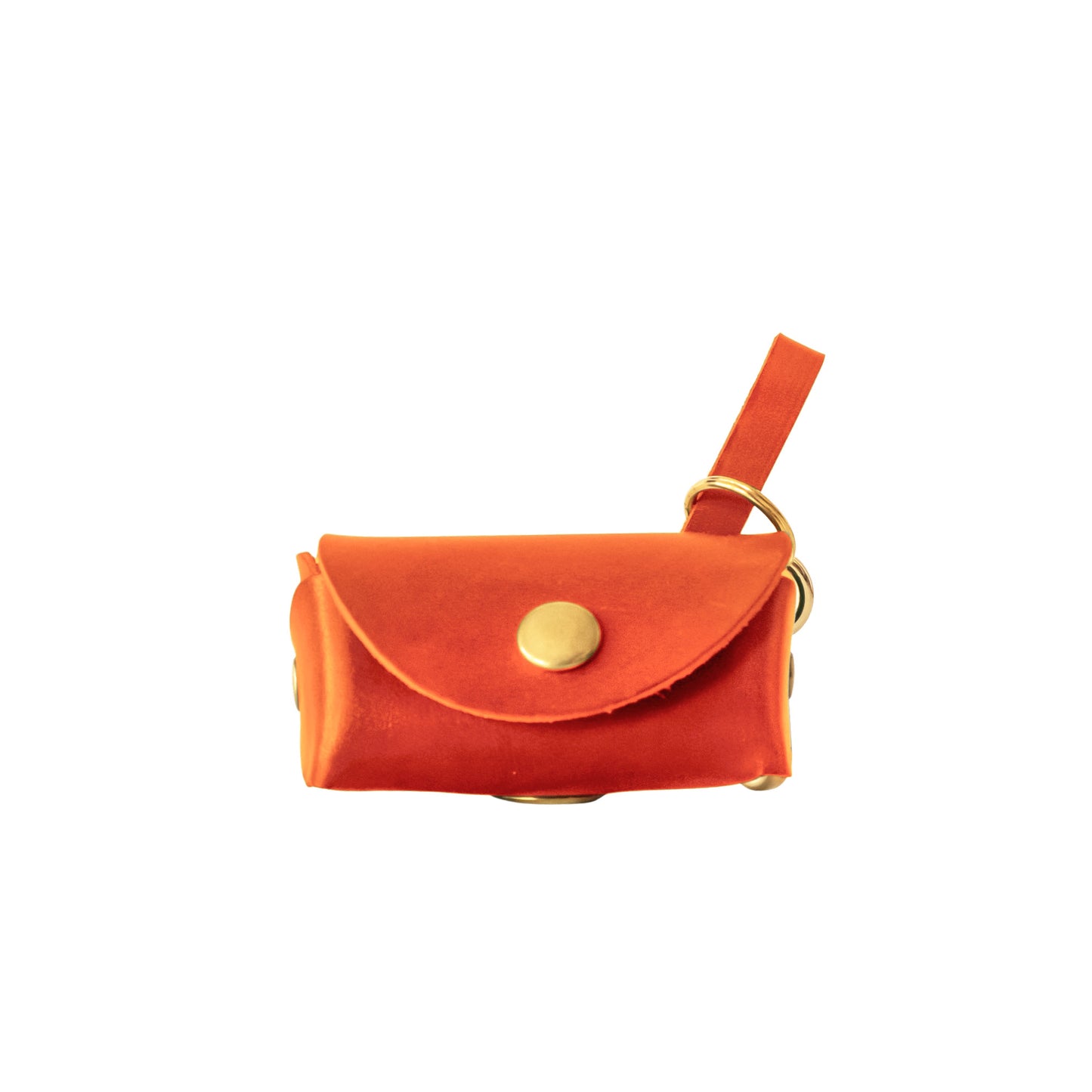 Saffron Orange Posh Pooch Pouch