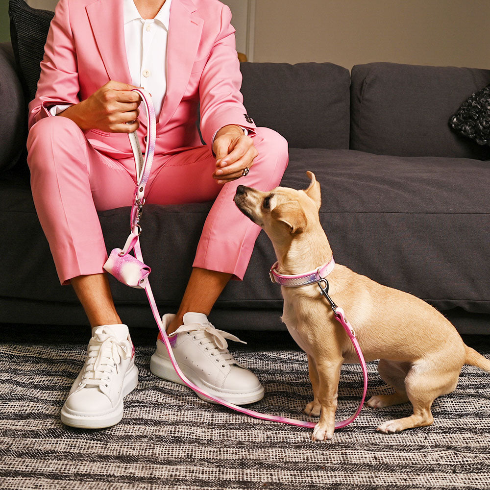 Cotton Candy Leather Collar, Leash, and Accessory Set