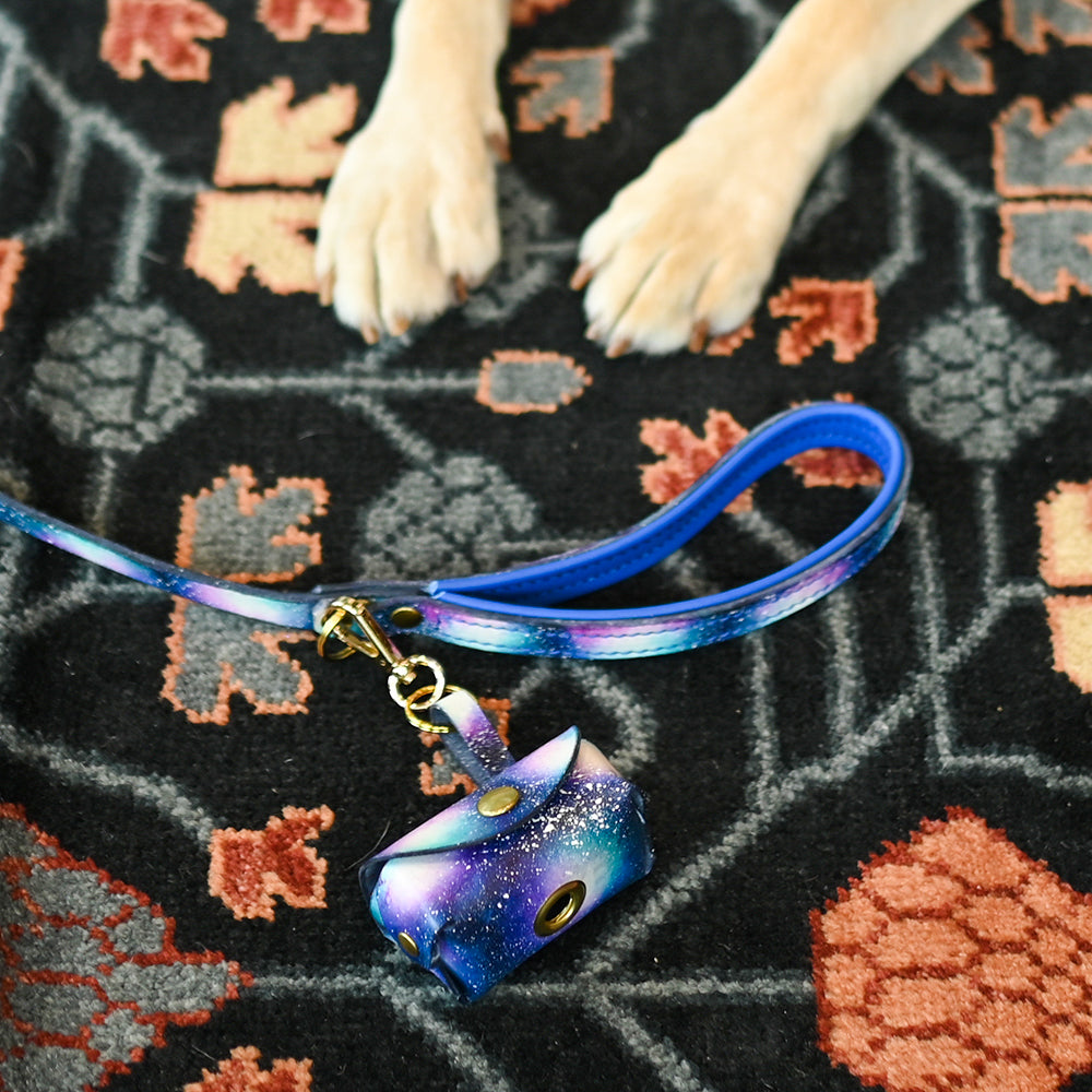 Galaxy Posh Pooch Pouch