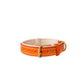 Saffron Orange Double Padded Leather Dog Collar