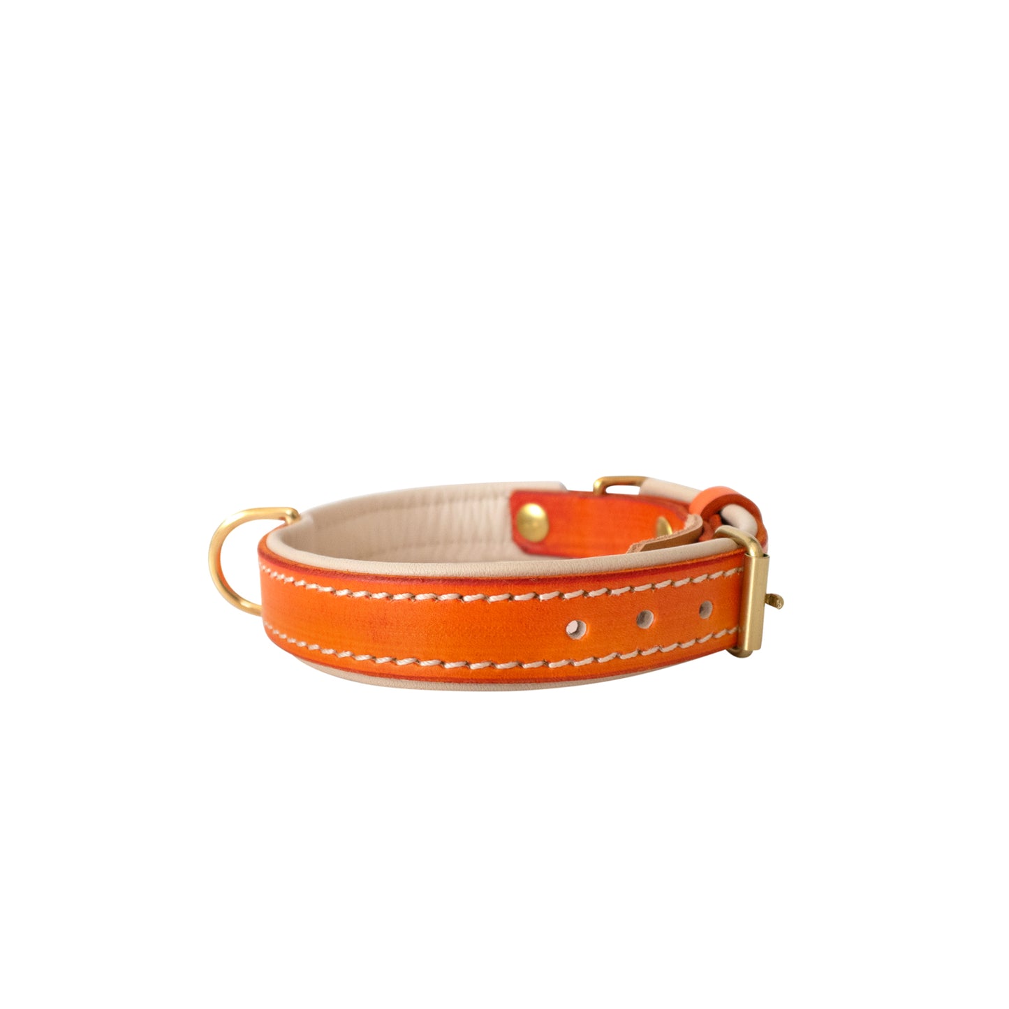 Saffron Orange Double Padded Leather Dog Collar
