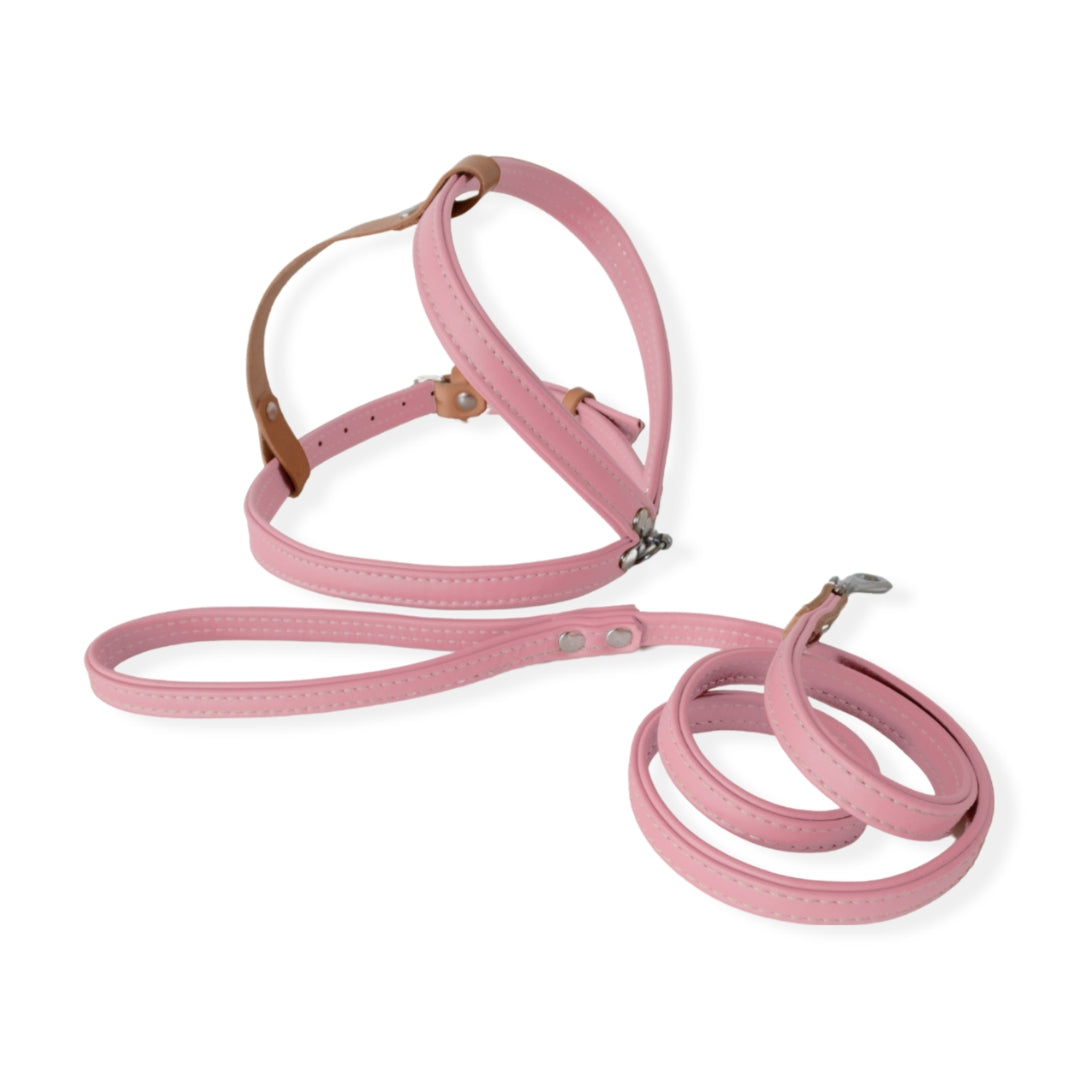 Harness and Leash Set