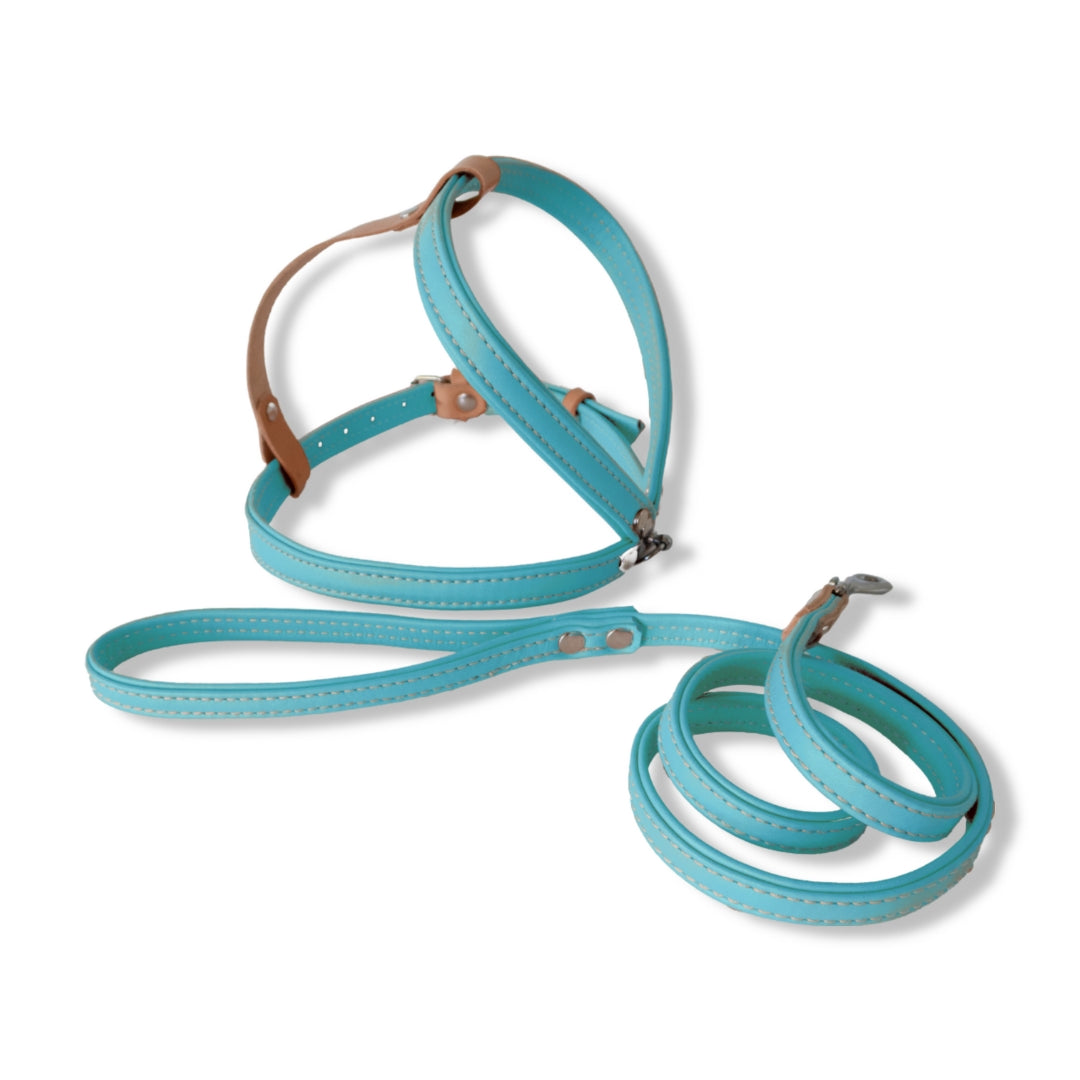 Harness and Leash Set