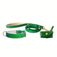 Fortune Green Leather Collar, Leash, and Accessory Set