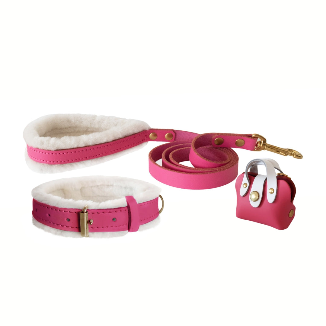 Pretty in Pink Fur and Leather Collar, Leash, and Accessory Set