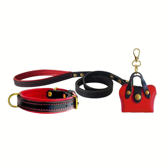 Rouge Leather Collar, Leash, and Accessory Set